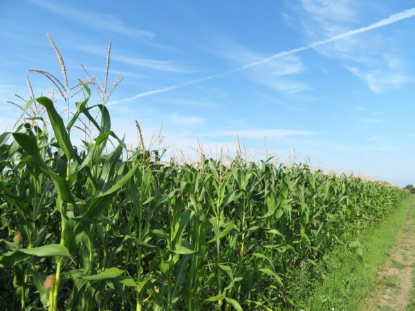 Powering Iowa's Future