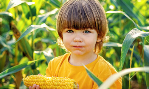 Powering Iowa's Future